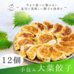 餃子 手包み大葉餃子 Sパック 12個入り