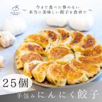 餃子 手包みにんにく餃子 25個入り