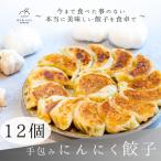 餃子 手包みにんにく餃子 Sパック 12個入り