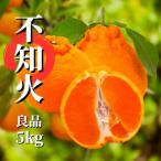 良品 約 5kg