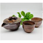 備前焼宝瓶と煎茶碗2個セット 登り窯