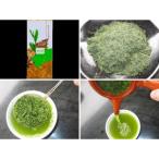 高級煎茶 あさみどり 100g×5パック