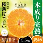 ふるさと納税 八幡浜市 【訳あり】星乃みかん園の甘平(3.5kg)【D45-95】