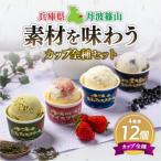 丹波篠山 素材を味わうアイスクリーム カップ全種セット 12…