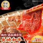 長崎和牛 焼肉 鉄板焼用 スライス 約500g