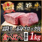 ふるさと納税 羽島市 飛騨牛 霜降り・赤身ブロック肉食べ比べ 約1kg(各約500g)【冷蔵便】(タレ付) A4〜A5等級