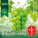 ふるさと納税 津山市 訳あり星乃シャインマスカット(岡山県産) 3〜4房(1.8kg以上)