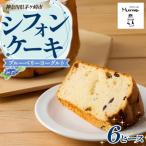 シフォンケーキ ブルーベリーヨーグルト