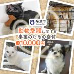 犬 猫等の不妊去勢手術費用のご支援をお願いします