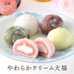 やわらかクリーム大福 5種23個 大福 食べ比べ