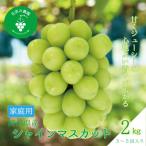 ふるさと納税 津山市 岡山 花笑み農園の『シャインマスカット』家庭用 2kg(3〜5房) S-2【9月下旬〜順次発送】
