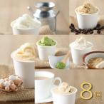 シュシュの定番ジェラート8個セット