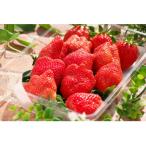 ふるさと納税 前橋市 やよいひめ　約500g×2パック　かなり強い香り、味を皆様のもとへ