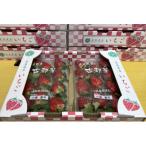 ふるさと納税 平群町 奈良県産いちご 「平群の古都華」L〜3Lサイズ(2パック×1ケース) 1月上旬から順次発送