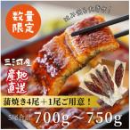ふるさと納税 西尾市 三河産うなぎ「蒲焼大サイズ4尾+1尾(計700〜750g)」・A202