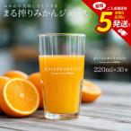 まる搾りみかんジュース 220ml×30本