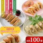 ふるさと納税 高鍋町 樹樹の餃子4種のモリモリセット計100個
