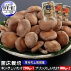 菌床栽培 キングしいたけ200g×1パック プリンスしいたけ100…