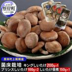 キングしいたけ200g×1 プリンスしいたけ100g×2