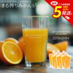 まる搾りみかんジュース 220ml×6本