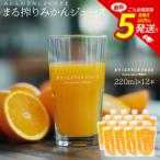 まる搾りみかんジュース 220ml×12本