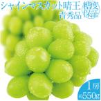 9月 シャインマスカット 晴王 1房 約550g