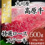 大川原高原牛 特選ロースステーキ 500g