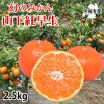 山下紅早生 みかん 2.5kg