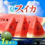 fu.... налог страна голова .[ предшествующий прием *2026 год 8 месяц средний . из последовательный отправка ] остров пакет san. лето арбуз большой шар 1 шар (5.0~7.0kg)