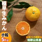 極早生みかん 5kg