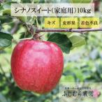 りんご サンフジ 10kg