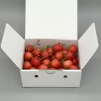 fu.... налог север . город .. большой шар вишня 3~4L роза .. примерно 350g( Sato . кроме того, . превосходящий . а также эта превосходный система )