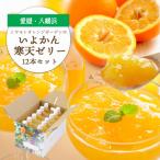 ゲル化剤 pH調整剤不使用 愛媛産 いよかん寒天ゼリー