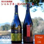 シャルドネ750ml×1本 杜のワイン赤750ml×1本