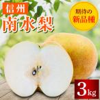 ふるさと納税 長野県 長野県産 南水梨 約3kg(6玉〜12玉)