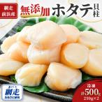 ふるさと納税 網走市 【2025年新物先行受付!】【網走前浜産】無添加ホタテ貝柱 500g(250g×2パック)