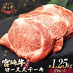 牛肉 宮崎牛 ロース ステーキ 250g
