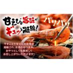 天然甘えび 50g×10袋
