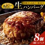 ふるさと納税 糸満市 【沖縄高級ブランド豚】美ら島あぐー ハンバーグ　960g(120g×8個)