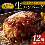 ふるさと納税 糸満市 【沖縄高級ブランド豚】美ら島あぐー ハンバーグ　1.44kg(120g×12個)