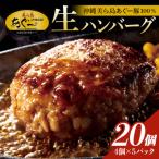 美ら島あぐー ハンバーグ 2.4kg