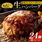 ふるさと納税 糸満市 【沖縄高級ブランド豚】美ら島あぐー ハンバーグ　2.88kg(120g×24個)