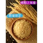 ふるさと納税 上富良野町 【数量限定】令和7年産 ゆめぴりか 玄米[10kg]