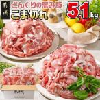 都城産 どんぐりの恵み豚 こま切れ 5.1kg
