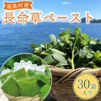 長命草 ペースト 1箱