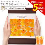 まる搾りみかんジュース ボックス 1000ml×2本