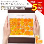 まる搾りみかんジュース ボックス 1000ml×1本