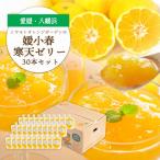 ゲル化剤 pH調整剤不使用 愛媛産 媛小春寒天ゼリー
