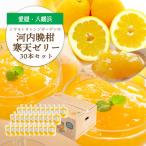 ゲル化剤 pH調整剤不使用 愛媛産 河内晩柑寒天ゼリー