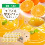 ゲル化剤 pH調整剤不使用 愛媛産 まどんな寒天ゼリー